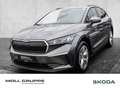 Skoda Enyaq iV 50 Grau - thumbnail 1