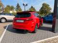 Ford Fiesta ST-Line Rojo - thumbnail 5