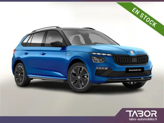 Skoda Kamiq DSG Monte Pano Matrix Kam SHZ Kessy