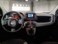 Fiat Panda Panda 1.0 FireFly S&S Hybrid City Life Grigio - thumbnail 7