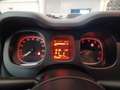 Fiat Panda Panda 1.0 FireFly S&S Hybrid City Life Grigio - thumbnail 8