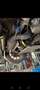 Opel Speedster 2.2 16v VX 220 VX220 - thumbnail 6