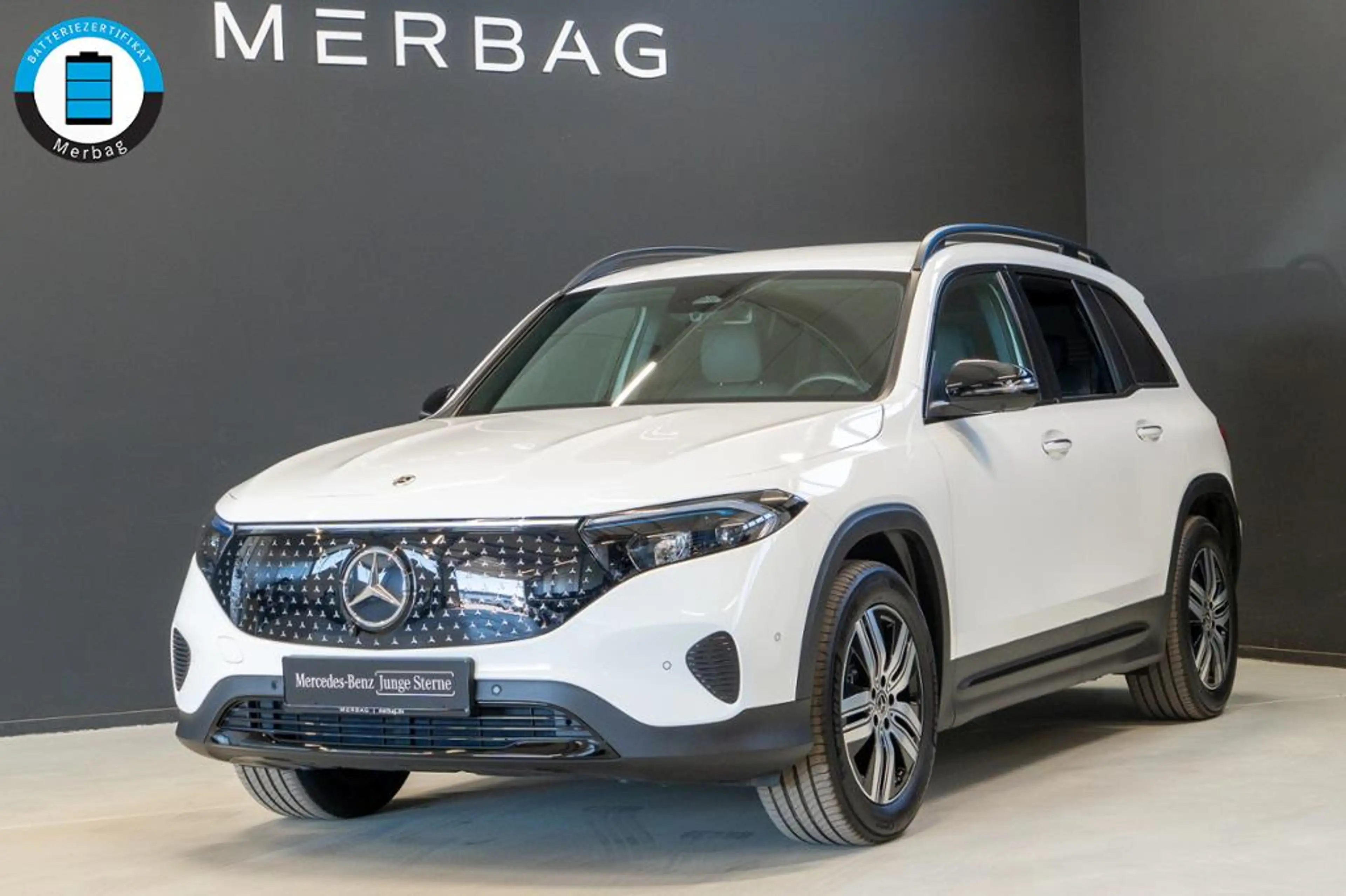 Mercedes-Benz EQB 350 4M *Electric Art Night AHK Distron 360°