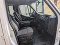 Renault Master DOPPIA CABINA 6 P.  23 dCi/165  PL-RG RIBALTABILE Blanco - thumbnail 15