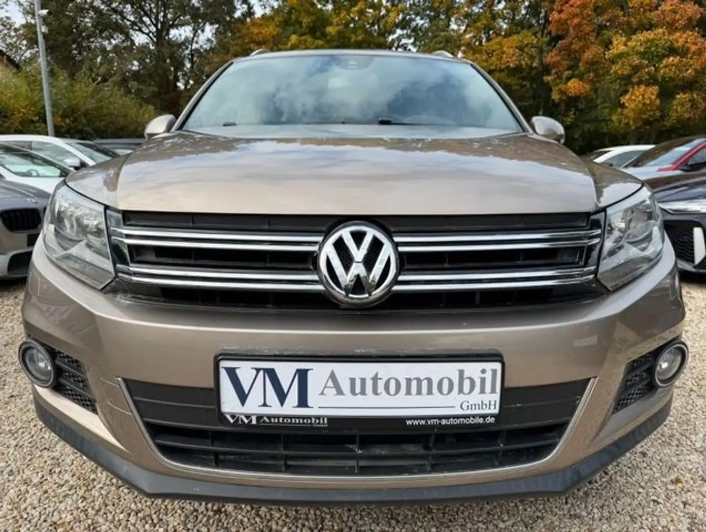 Volkswagen Tiguan 4MOTION Navi*SitzHz.*Klima*Bluetooth Beige - 2