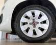 Fiat Panda Panda 1.3 mjt 16v Pop 75cv con comandi al volante Blanc - thumbnail 12