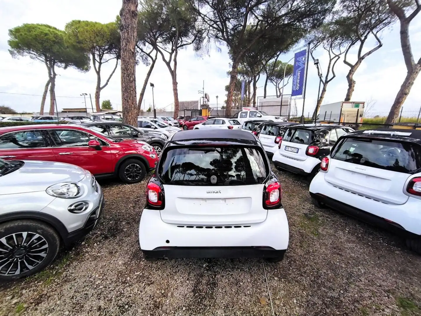 smart forTwo 1.0cc 61cv OK NEOPATENTATI BLUETOOTH CRUISECONTROL Bianco - 2