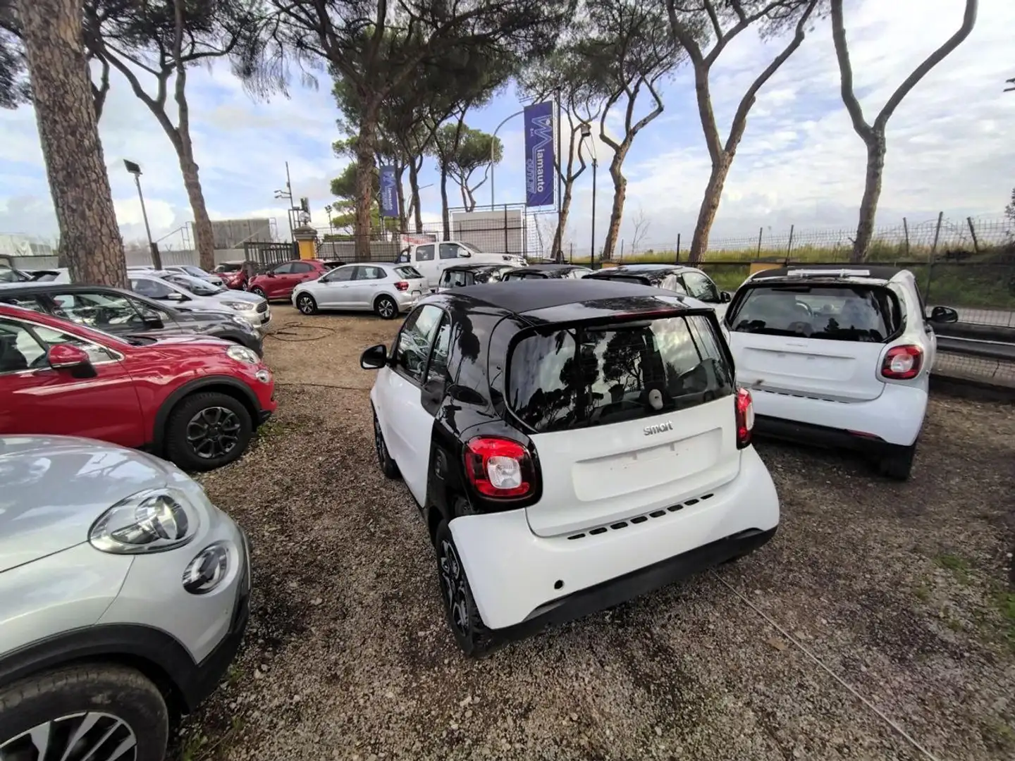smart forTwo 1.0cc 61cv OK NEOPATENTATI BLUETOOTH CRUISECONTROL Bianco - 1