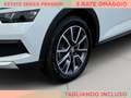 Skoda Kamiq 1.0 tsi scoutline 110cv Blanco - thumbnail 7