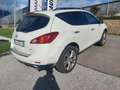 Nissan Murano Murano 2.5 dci Tekna Bianco - thumbnail 6
