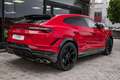 Lamborghini Urus Performante Rojo - thumbnail 8