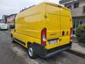 Fiat Ducato 12990+IVA MH2 2.3 MJT 120 CV E6D-TEMP Jaune - thumbnail 6