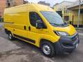 Fiat Ducato 12990+IVA MH2 2.3 MJT 120 CV E6D-TEMP Jaune - thumbnail 3