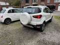 Ford EcoSport Ecosport 1.0 EcoBoost 4x2 Trend Wit - thumbnail 3