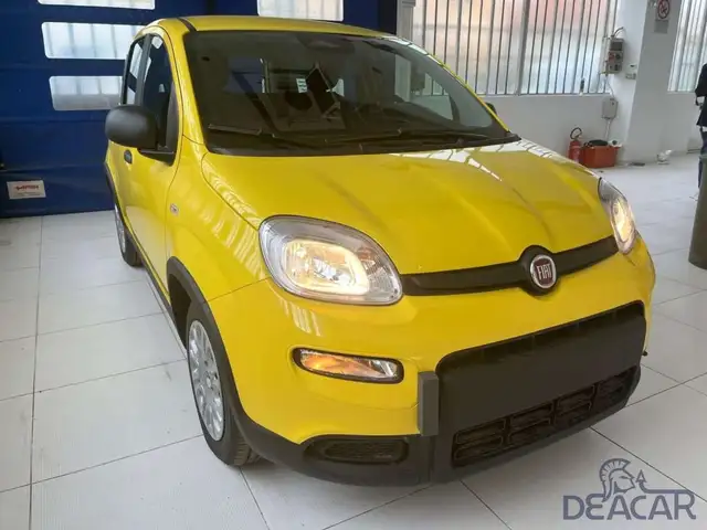 Fiat Panda in Yellow for sale