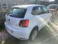 Volkswagen Polo 5p 1.4 tdi Comfortline Bianco - thumbnail 4
