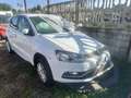 Volkswagen Polo 5p 1.4 tdi Comfortline Bianco - thumbnail 1