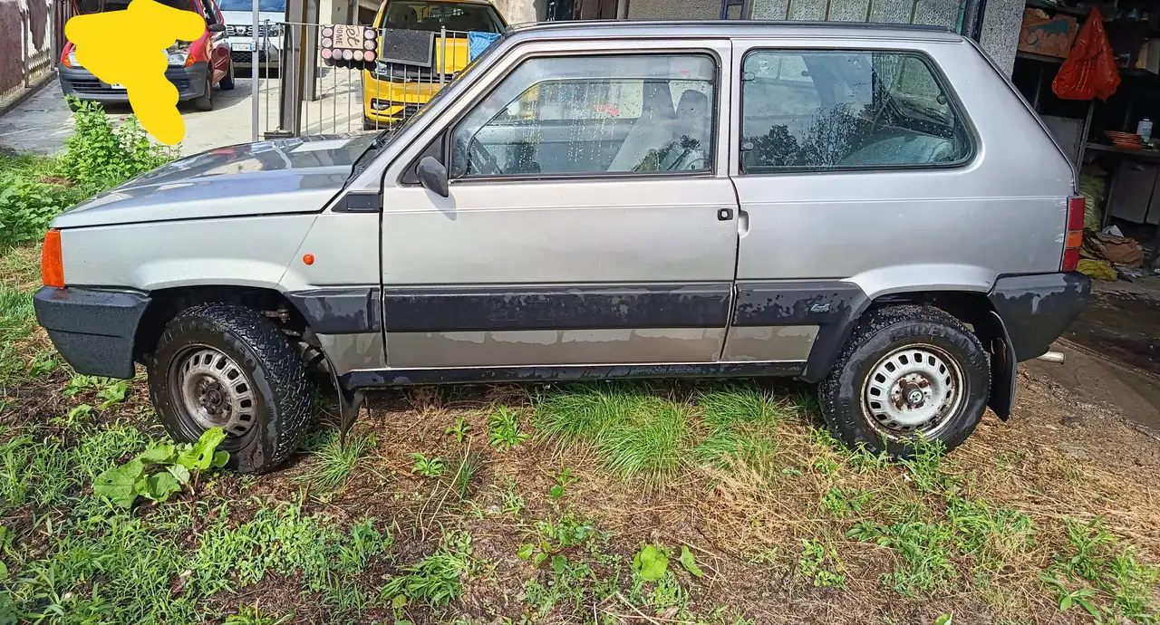 Fiat Panda 4x4, foto 1
