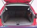 SEAT Arona 1.0 TSI 81kW (110CV) Style Plus Rojo - thumbnail 6