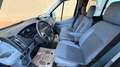Ford Transit 350 L2 H2 DOKKA ALLRAD Blau - thumbnail 8