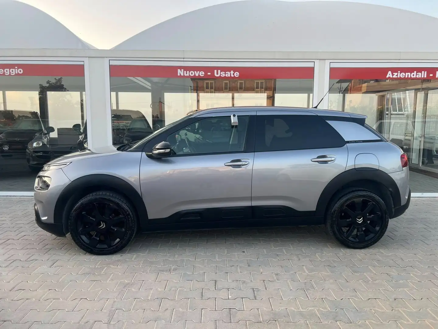 Citroen C4 Cactus BlueHDi 100 S&S Shine Grigio - 2