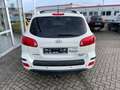 Hyundai SANTA FE Edition+ 2.2 CRDi 1.Hand, Klimaautomatik, Allwette Weiß - thumbnail 8
