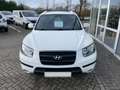 Hyundai SANTA FE Edition+ 2.2 CRDi 1.Hand, Klimaautomatik, Allwette Weiß - thumbnail 3