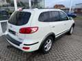 Hyundai SANTA FE Edition+ 2.2 CRDi 1.Hand, Klimaautomatik, Allwette Weiß - thumbnail 7