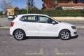 Volkswagen Polo Polo 1.6 TDI 90CV DPF 5 porte Comfortline Weiß - thumbnail 4