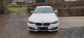 BMW 316 316d Aut. Sport Line Weiß - thumbnail 1