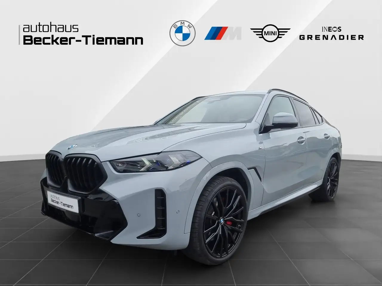 BMW X6