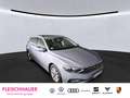 Volkswagen Passat Variant Business 2.0 TDI DSG AHK Pano Navi Rückfahrk. Matr Grau - thumbnail 2