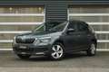 Skoda Kamiq 1.0 TSI 110pk Ambition | Apple Carplay/Android Aut Gris - thumbnail 41