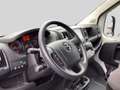 Opel Movano Cargo L3H2 + RFK + PDC + Klima + Navi + Apple CarP Weiß - thumbnail 15