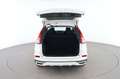 Honda CR-V 1.6 DTEC Lifestyle Plus 2WD Blanc - thumbnail 4