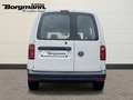 Volkswagen Caddy Nfz Kombi EcoProfi BMT 2.0 TDI Beyaz - thumbnail 5