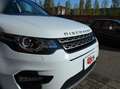 Land Rover Discovery 2.0 TD4 4WD Automatica LUXURY 150CV Diesel - thumbnail 12