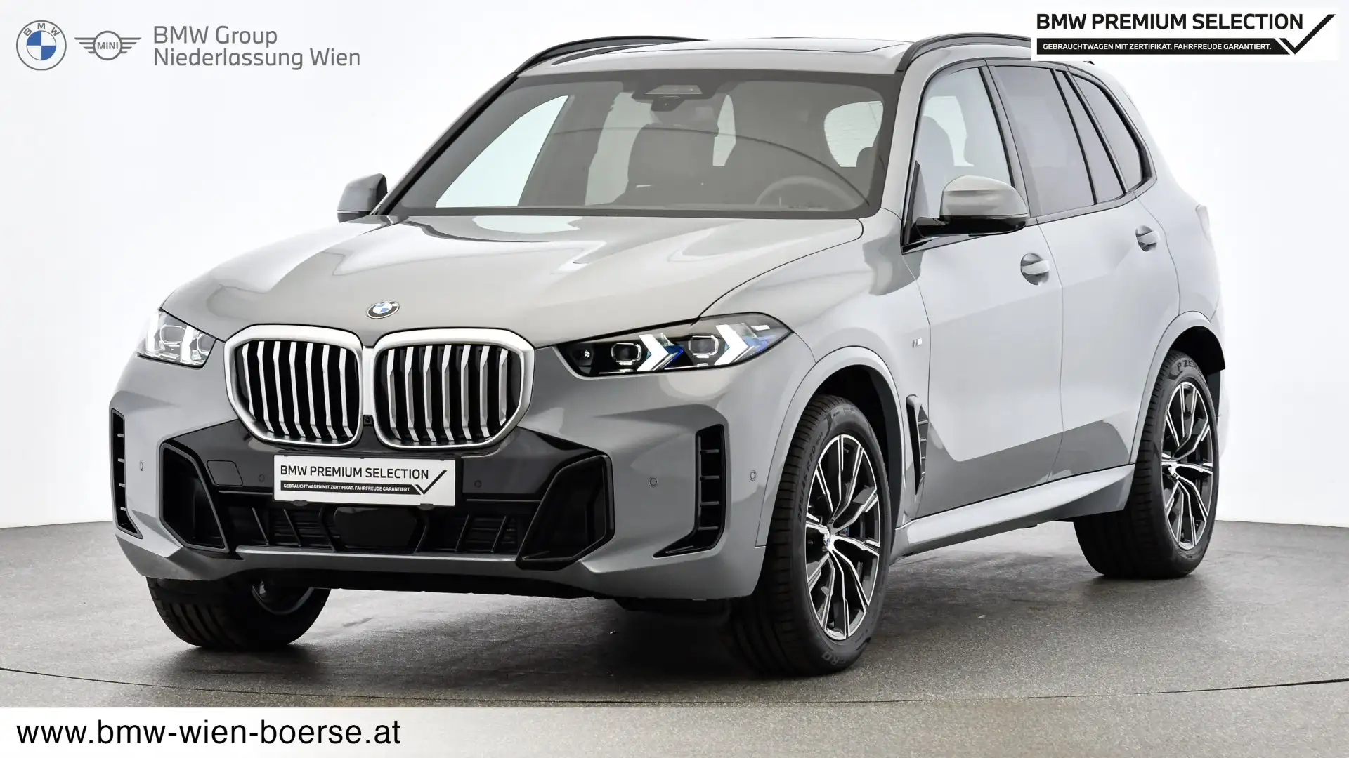 BMW X5 xDrive30d Grau - 1