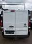 Fiat Talento Weiß - thumbnail 9