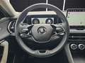Skoda Kodiaq 2.0 TDI  4x4 Selection DSG ACC AHZ KAMERA Gris - thumbnail 19