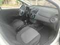 Fiat Punto 5p 1.4 natural power Street - thumbnail 11