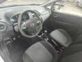 Fiat Punto 5p 1.4 natural power Street - thumbnail 14