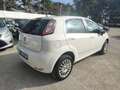 Fiat Punto 5p 1.4 natural power Street - thumbnail 6