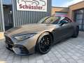 Mercedes-Benz SL 43 AMG Mercedes-AMG   Exclusiv / UPE 179000.- Gris - thumbnail 1
