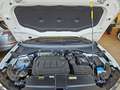Volkswagen T-Roc 2.0 TDI R-Line Facelift AHK ACC Matrix Kamera Mass Weiß - thumbnail 25
