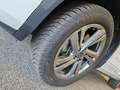 Volkswagen T-Roc 2.0 TDI R-Line Facelift AHK ACC Matrix Kamera Mass Weiß - thumbnail 27