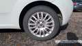 Fiat Punto 1.2 69 Easy Blanc - thumbnail 19