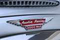 Austin Healey Austin 3000 KMII Gris - thumbnail 5