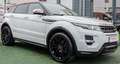 Land Rover Range Rover Evoque 2,2  SD4|NAVI|PANO|BI-XENON| Blanc - thumbnail 1