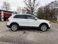Volkswagen Tiguan Highline BMT/Start-Stopp 4Motion Weiß - thumbnail 6